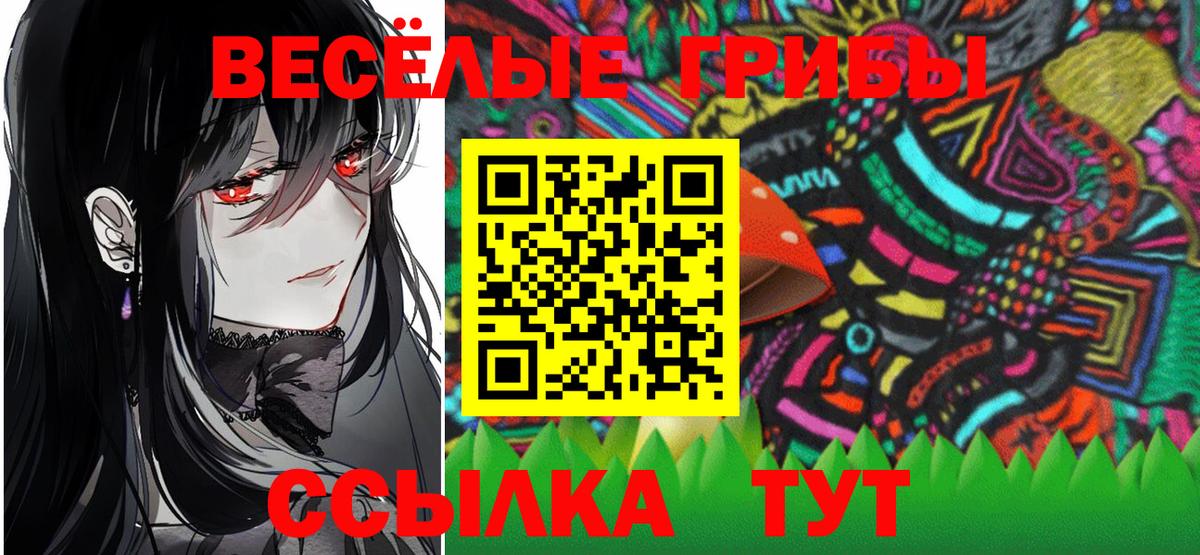 Псилоцибиновые грибы Cubensis Тихорецк