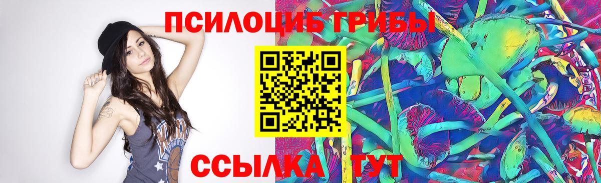 Тихорецк  Псилоцибиновые грибы мицелий  Вход с VPN 