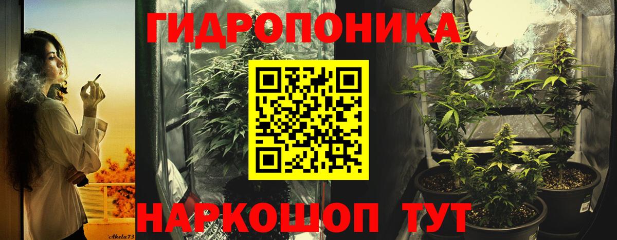 Шишки марихуана VHQ Тихорецк